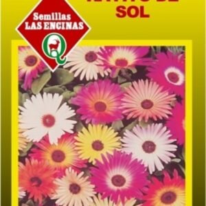 Semillas de Rayito de Sol