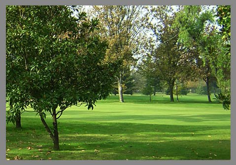 Mezcla Parque 10 Kilos