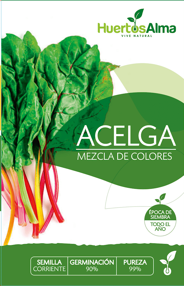 Semillas de Acelga Mezcla de Colores