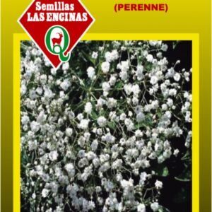 Semillas de Ilusión Paniculata