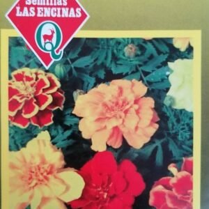 Semillas de Clavelón Enano Variado