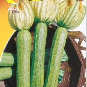 Semillas De Zapallo Genovés