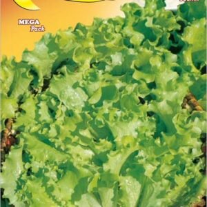 Semillas De Lechuga Rubia Hoja Rizada