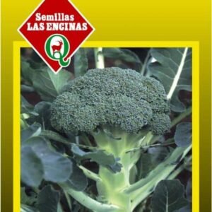 Semillas de Broccoli
