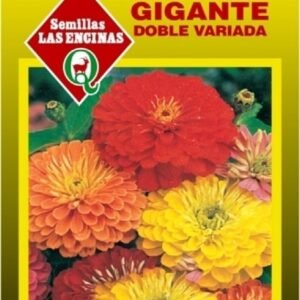 Semillas de Zinnia Gigante Doble Variada