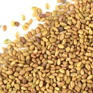 Semilla Alfalfa California 55 25 Kilos