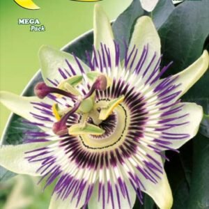 Semillas De Pasionaria Flor De La Pasión