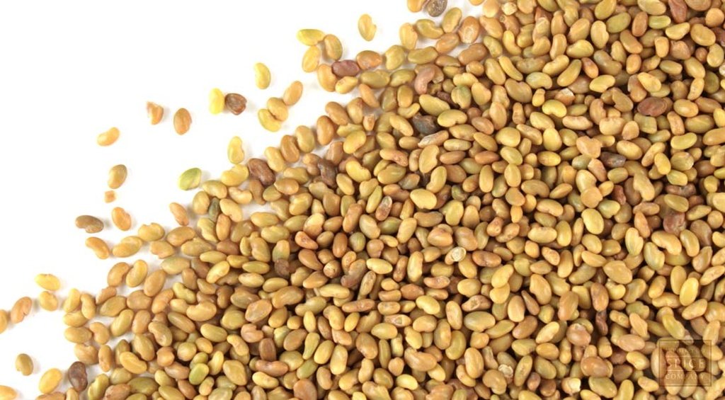 Semillas de Alfalfa California 55 Sin Desinfectar 1 Kilo