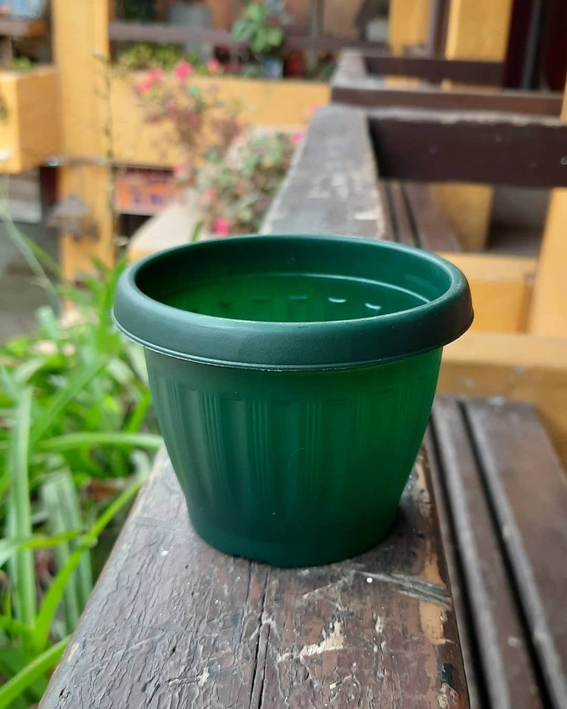 Macetero M8 redondo color Verde Oscuro