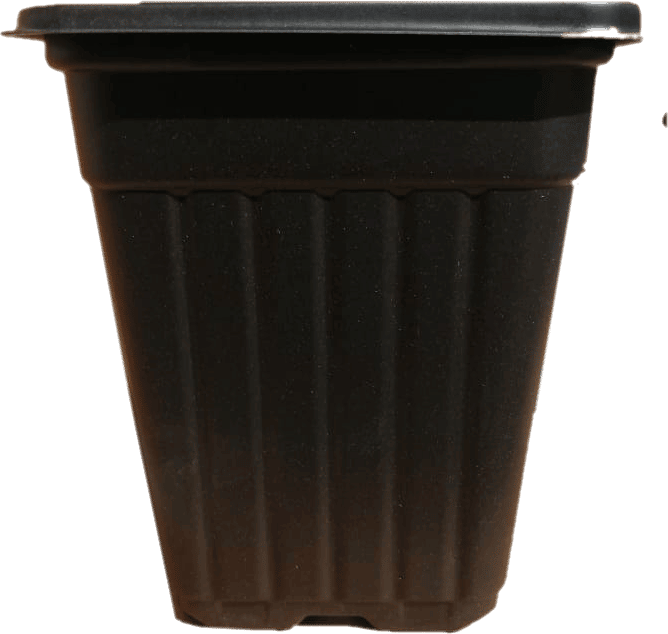 Macetero Cuadrado Negro 1.8 Litros