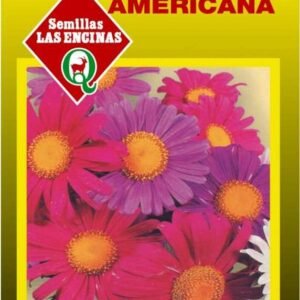 Semillas de Reina Luisa Americana