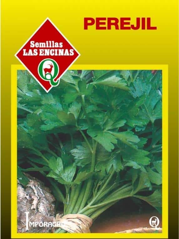 Semillas de Perejil Liso