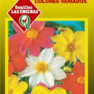 Semillas De Dalia Enana