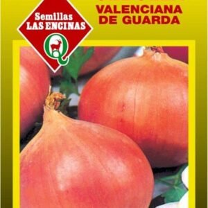 Semillas de Cebolla Valenciana 100 Grs