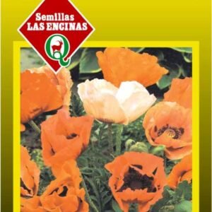 Semillas de Amapola
