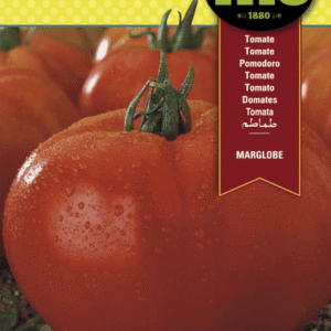 Semillas Fitó de Tomate Marglobe