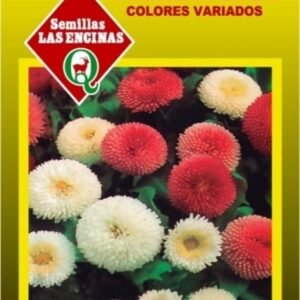 Semillas de Primavera Colores Variados