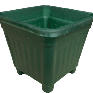 Macetero Cuadrado Verde Oscuro 8 Cm