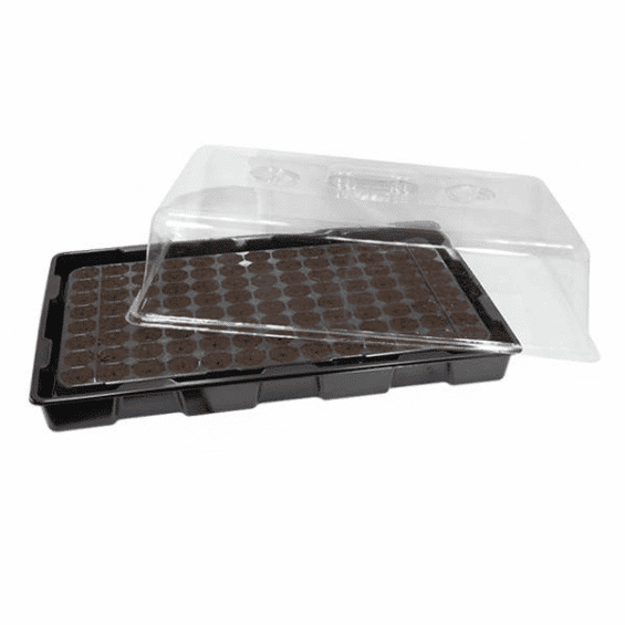 Tapa para Almaciguera Plástica Transparente
