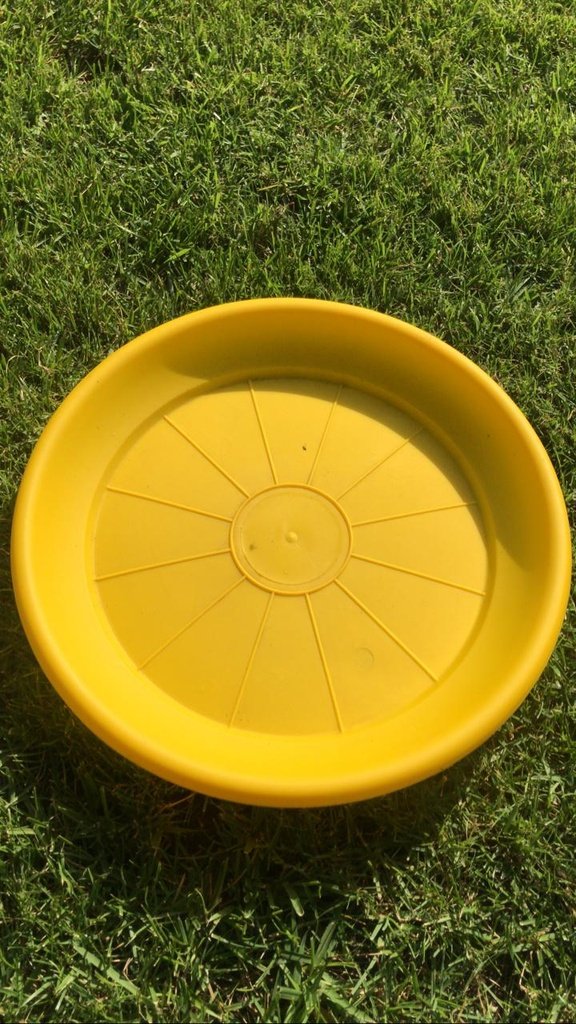 Plato Para Macetero Redondo P35 Color Amarillo