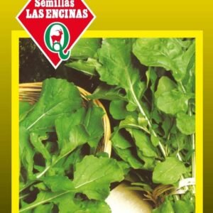 Semillas de Rúcula Cultivada
