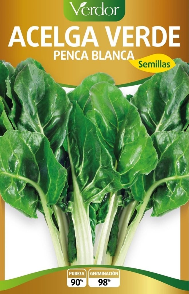 Semillas de Acelga Verde