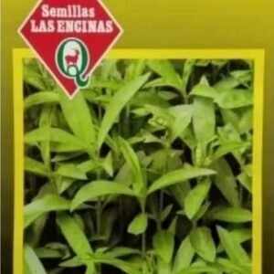 Semillas de Estragon