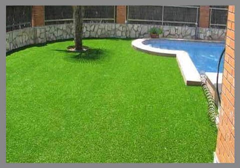 Semilla Mezcla Royal Park 10 Kilos (Muy resistente, textura fina, Verde oscuro)