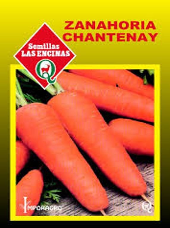 Semillas de Zanahoria Chantenay Red Cored