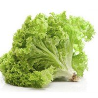 Lechuga Aurora Grand Rapid Mejorada Verde Claro 500 Grs