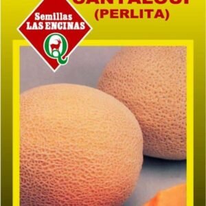 Semillas de Melón Cantaloup Perlita