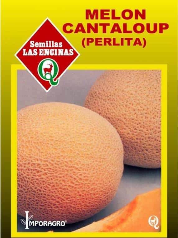 Semillas de Melón Cantaloup Perlita