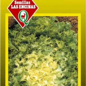 Achicoria Corazón De Oro 100 Grs