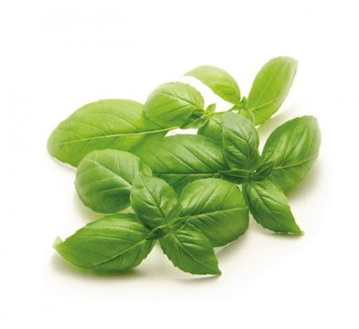 Semillas de Albahaca 500 Grs - Imagen 2