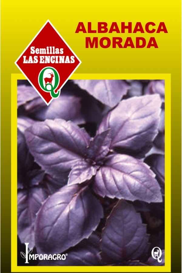 Semillas de Albahaca Morada - Imagen 2