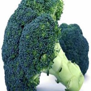 Semillas de Broccoli Waltham 29 500 Grs