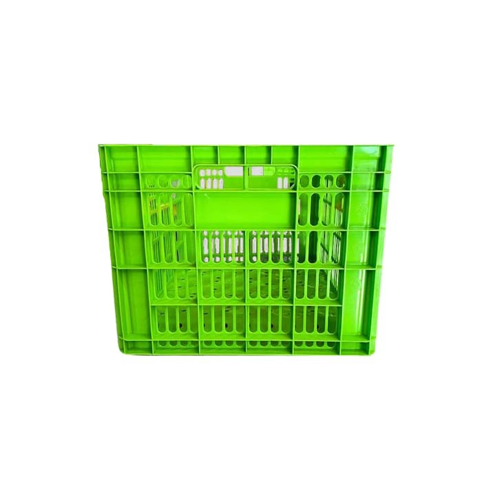 Caja Tomatera Color Verde - Imagen 3