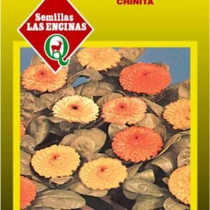 Semillas de Caléndula (Chinita)