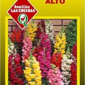 Semillas de Cartucho Alto