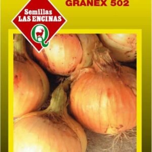 Semillas de Cebolla Texas