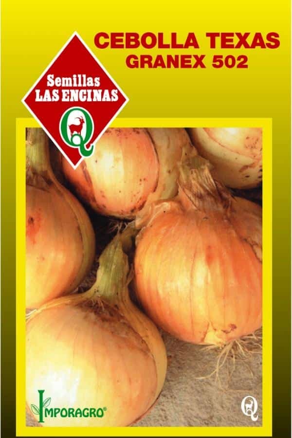 Semillas de Cebolla Texas - Imagen 2