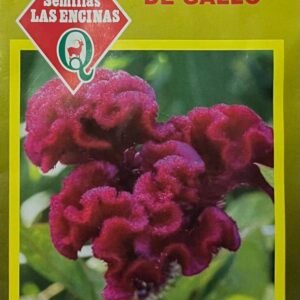 Semillas de Celosía Cresta De Gallo