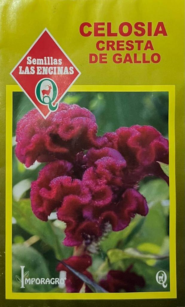 Semillas de Celosía Cresta De Gallo