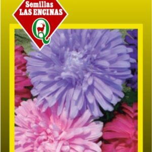 Semillas de Centaurea