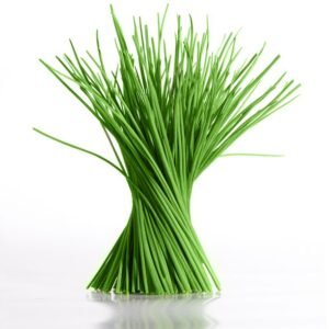 Semillas de Ciboulette 500 Grs