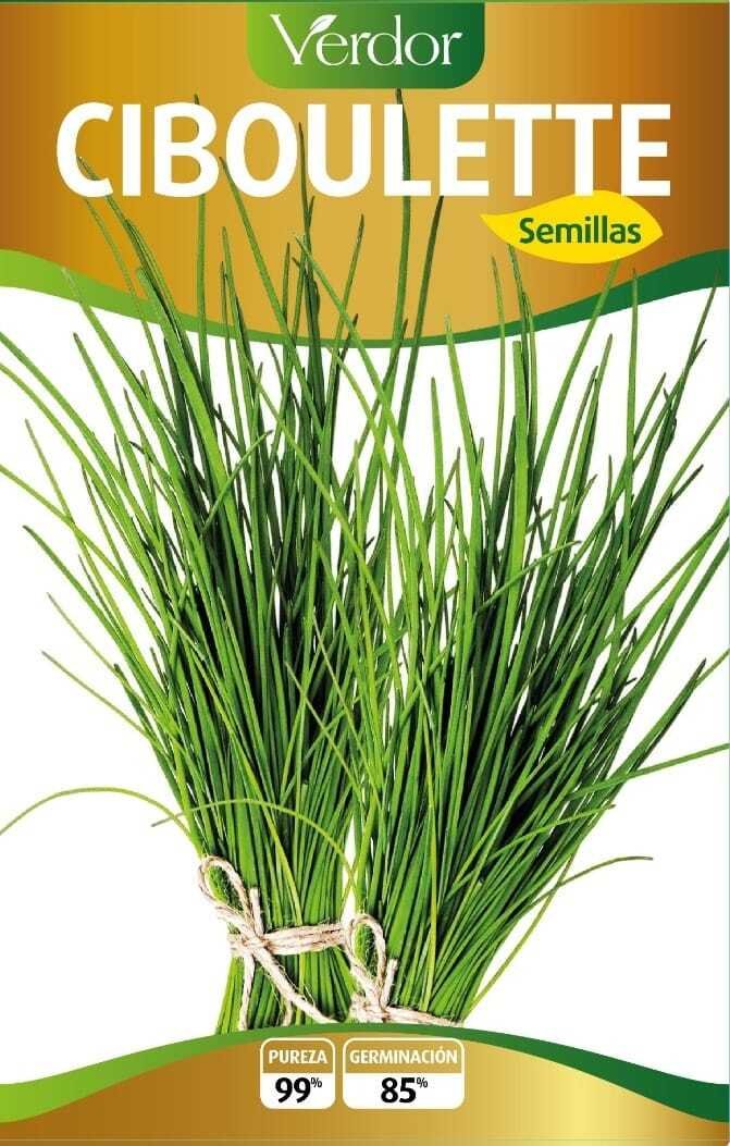 Semillas de Ciboulette