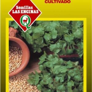 Semillas de Cilantro