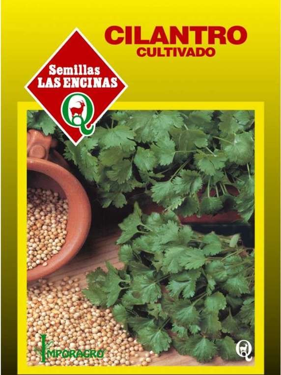Semillas de Cilantro