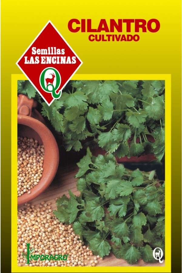 Semillas de Cilantro - Imagen 2