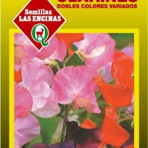 Semillas de Clarines Dobles Colores Variados